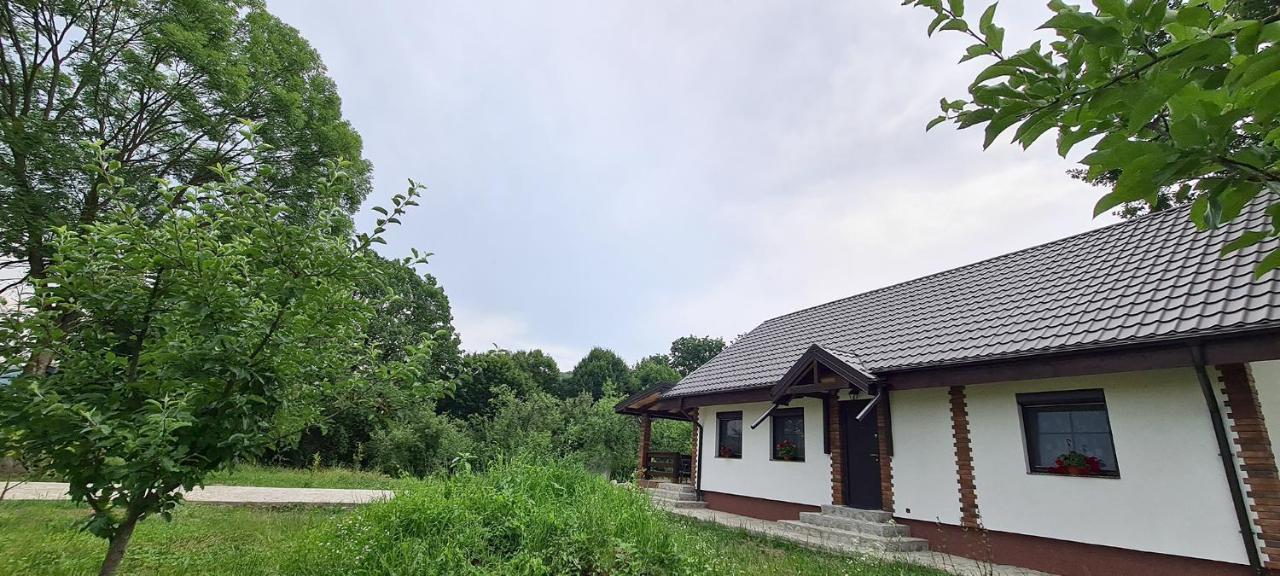 Casuta Cu Bine Villa Valea Lunga-Ogrea Exterior photo