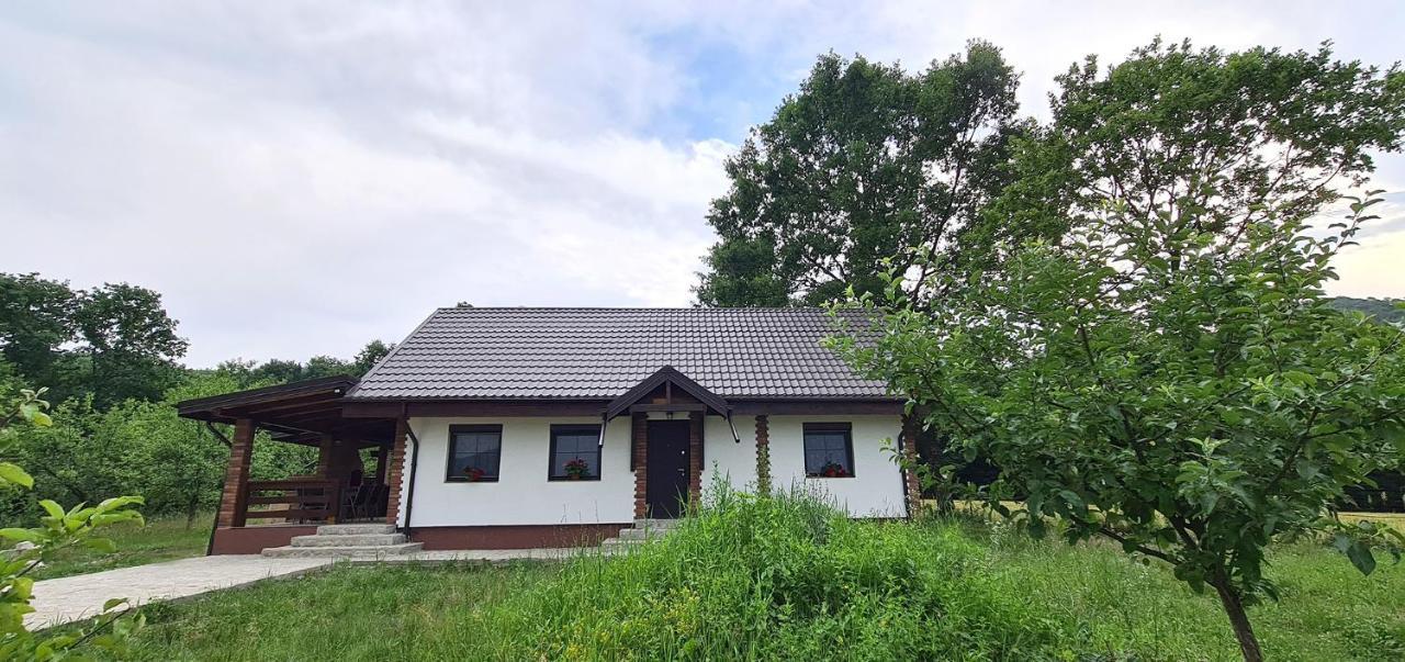 Casuta Cu Bine Villa Valea Lunga-Ogrea Exterior photo